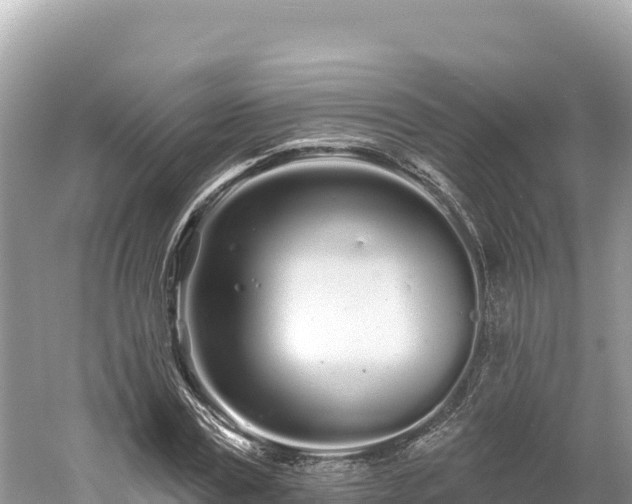 X0000061730779200512050932