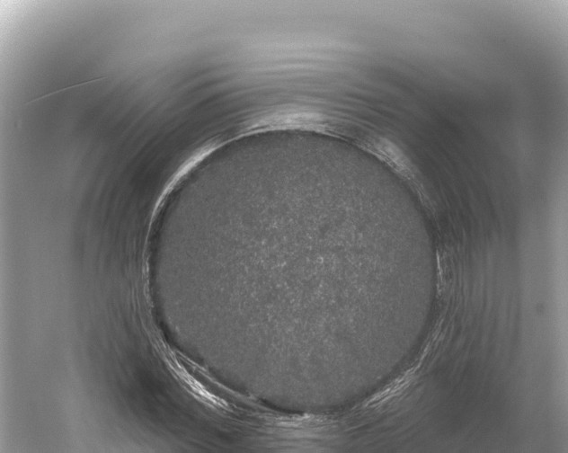 X0000061730780200512050932