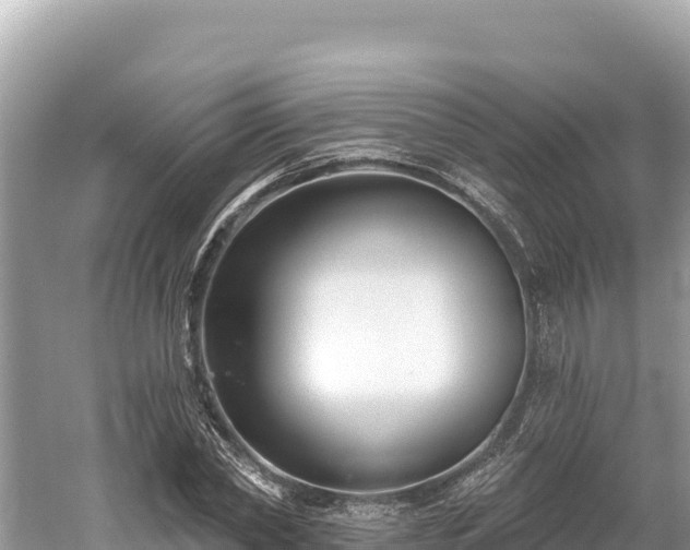 X0000061730782200512050932