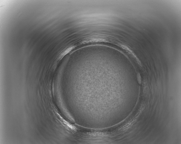 X0000061730785200512050932