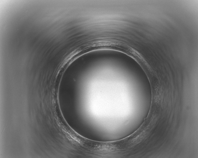 X0000061730786200512050932