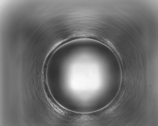 X0000061730787200512050932