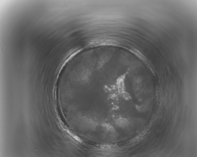 X0000061730790200512050932