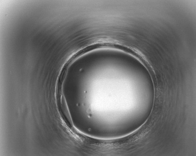 X0000061730791200512050932