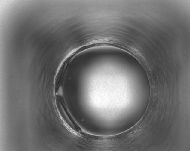 X0000061730792200512050932