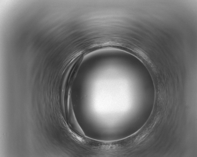 X0000061730793200512050932