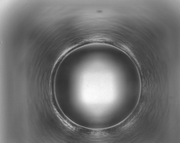 X0000061730795200512050932