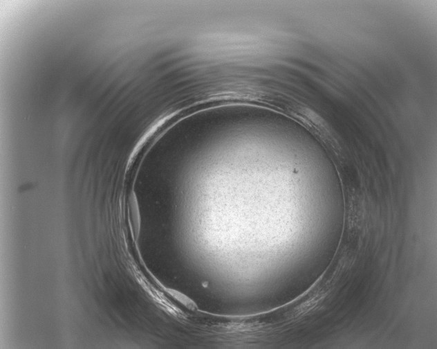 X0000061730796200512050932