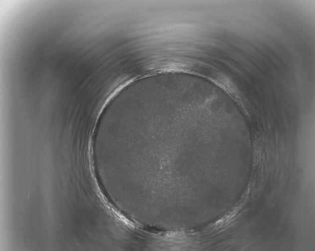 X0000061730798200512050932