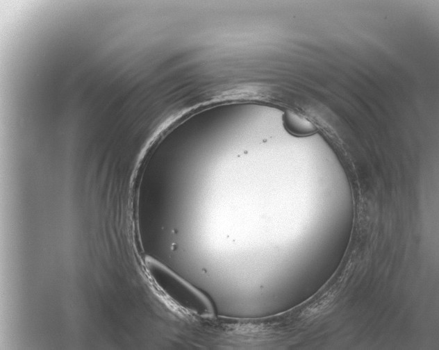 X0000061730800200512050932