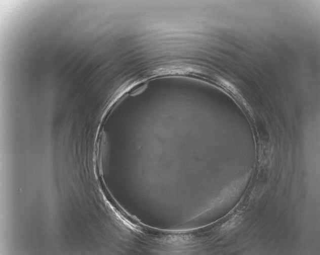 X0000061730802200512050932