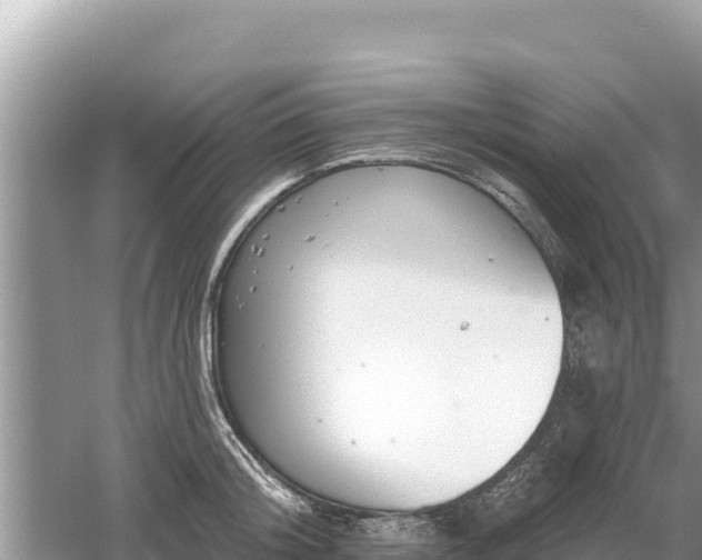 X0000061730804200512050932