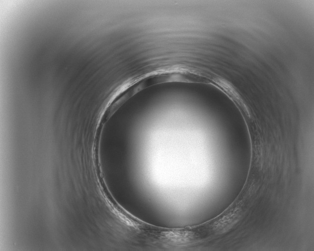 X0000061730805200512050932