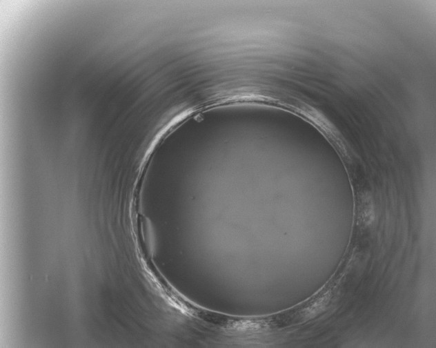 X0000061730806200512050932