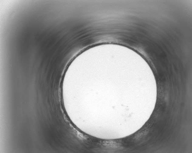 X0000061730807200512050932