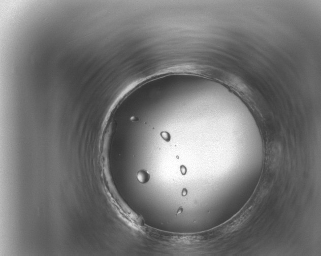 X0000061730808200512050932