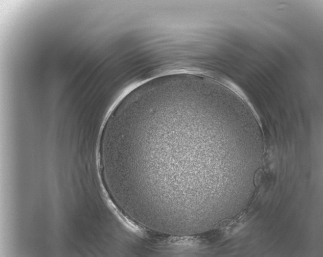 X0000061730811200512050932