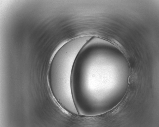 X0000061730812200512050932