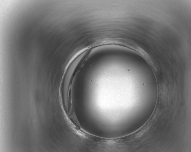 X0000061730814200512050932