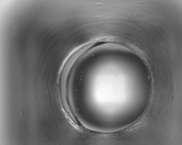 X0000061730816200512050932