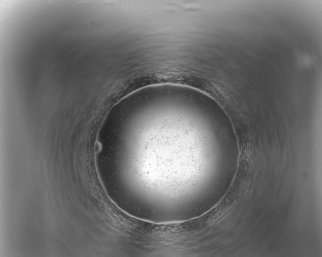 X0000061730817200512050931