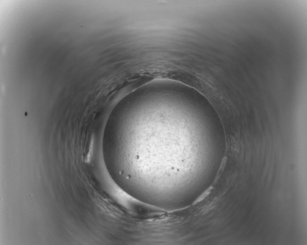 X0000061730818200512050931