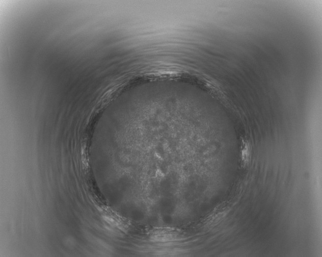 X0000061730819200512050931