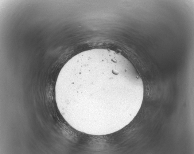 X0000061730820200512050931