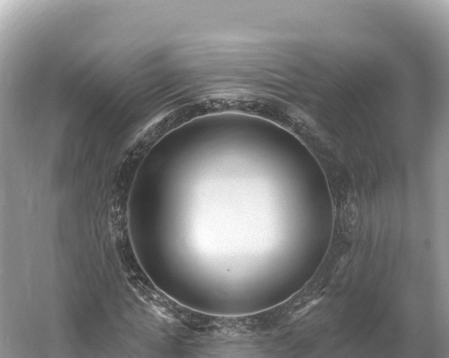 X0000061730822200512050931