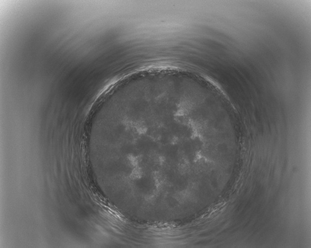 X0000061730823200512050931