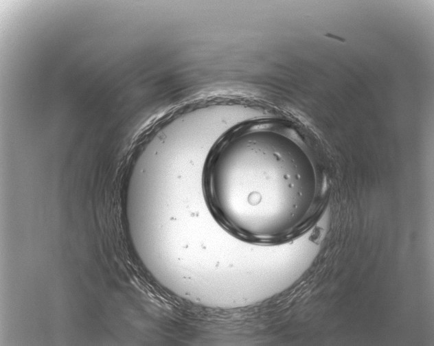 X0000061730824200512050931