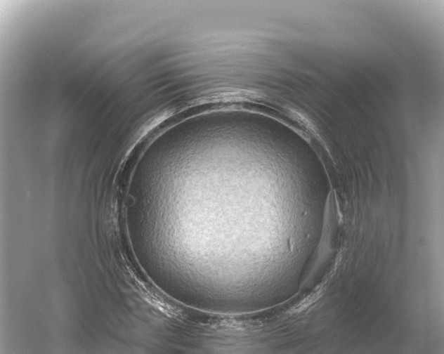 X0000061730827200512050931