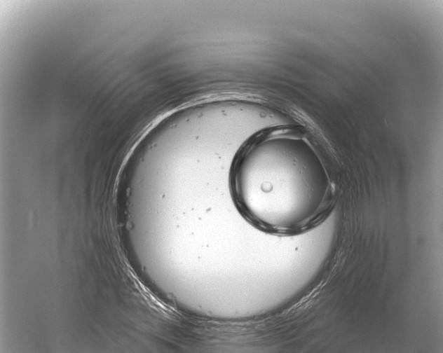 X0000061730828200512050931