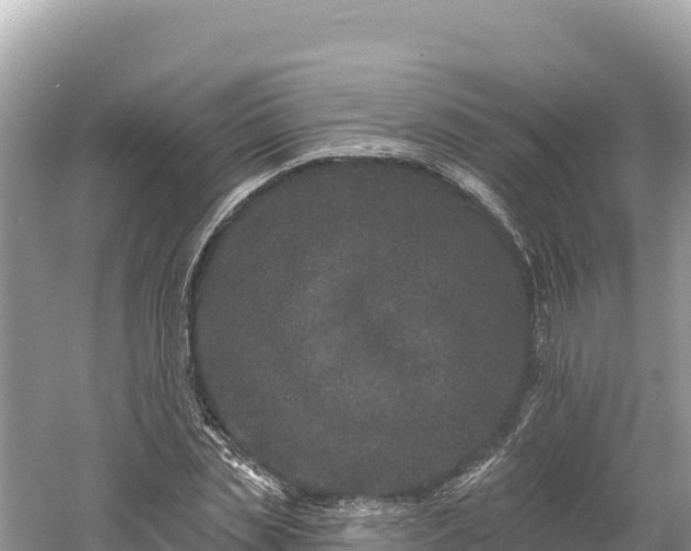 X0000061730829200512050931