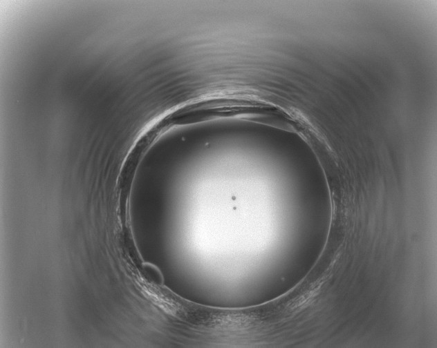 X0000061730830200512050931