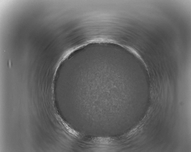 X0000061730831200512050931