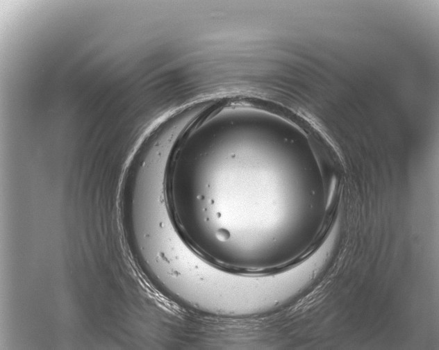 X0000061730832200512050931