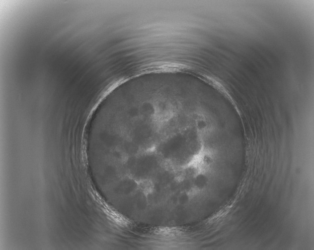 X0000061730835200512050931