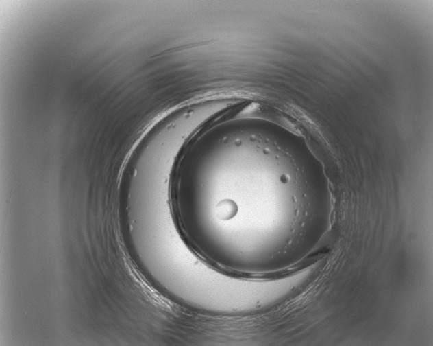 X0000061730836200512050931