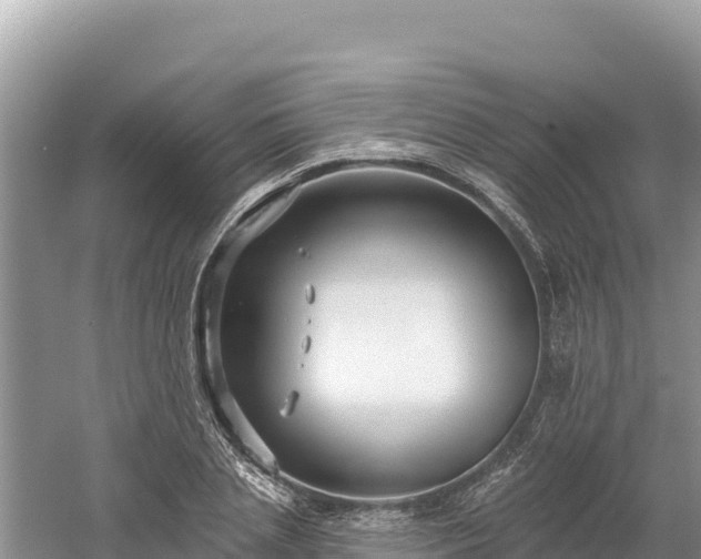 X0000061730837200512050931