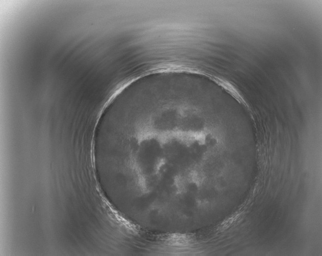 X0000061730839200512050931