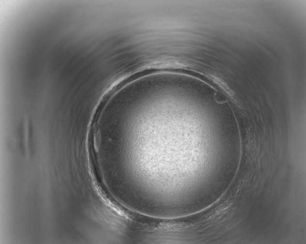 X0000061730840200512050931