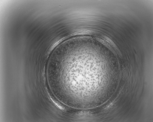 X0000061730842200512050931