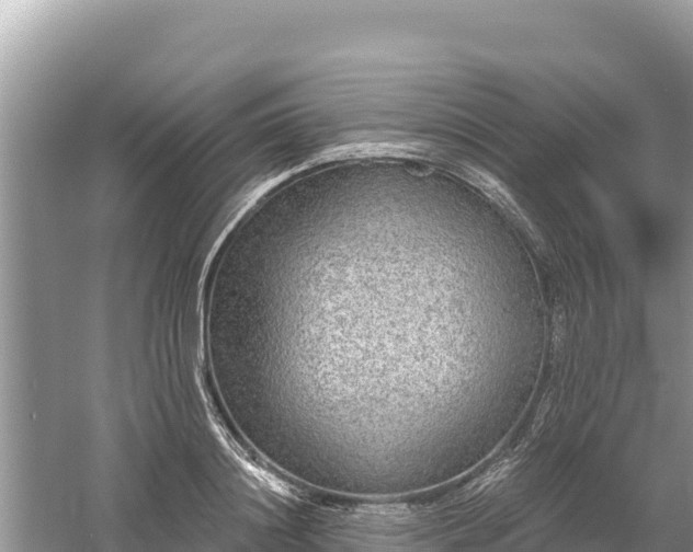 X0000061730844200512050931