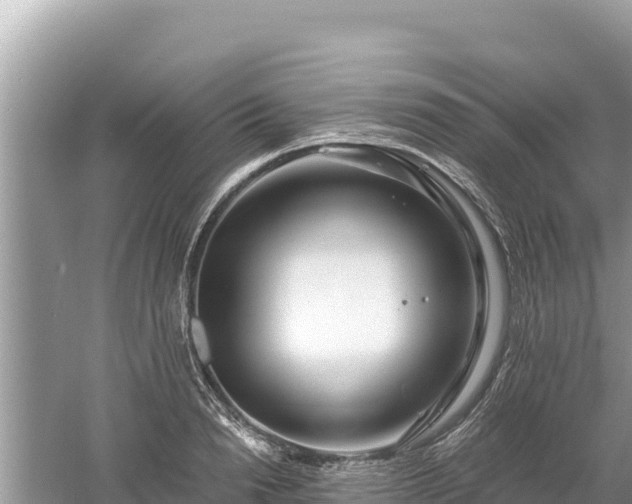 X0000061730846200512050931