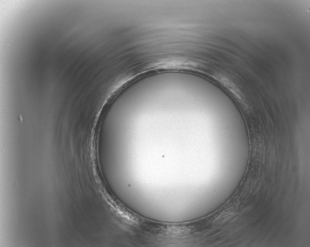 X0000061730848200512050931