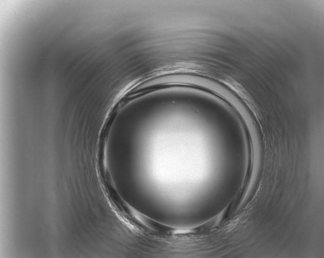 X0000061730850200512050931