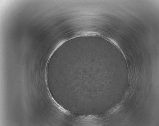 X0000061730851200512050931