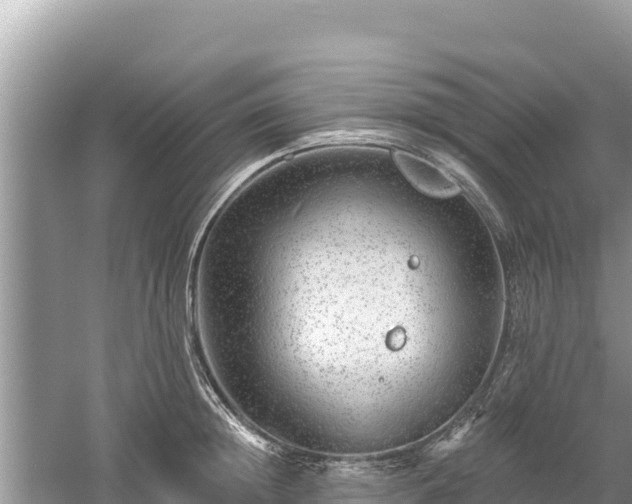 X0000061730852200512050931