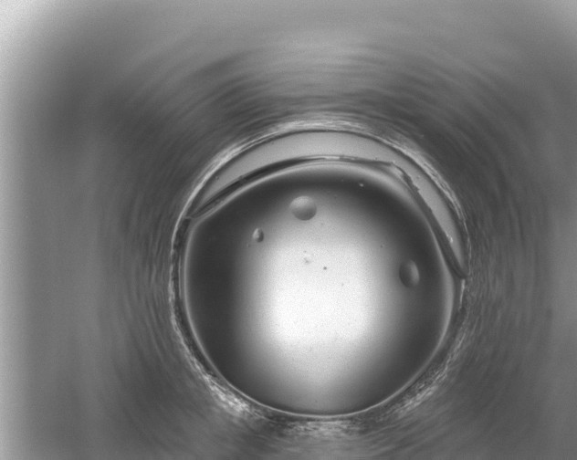 X0000061730853200512050931